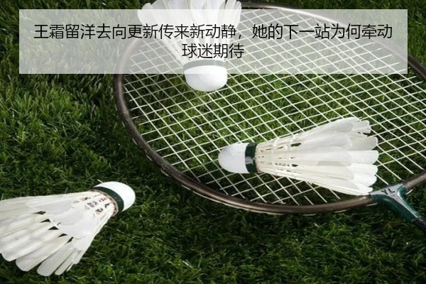王霜留洋去向更新传来新动静，她的下一站为何牵动球迷期待